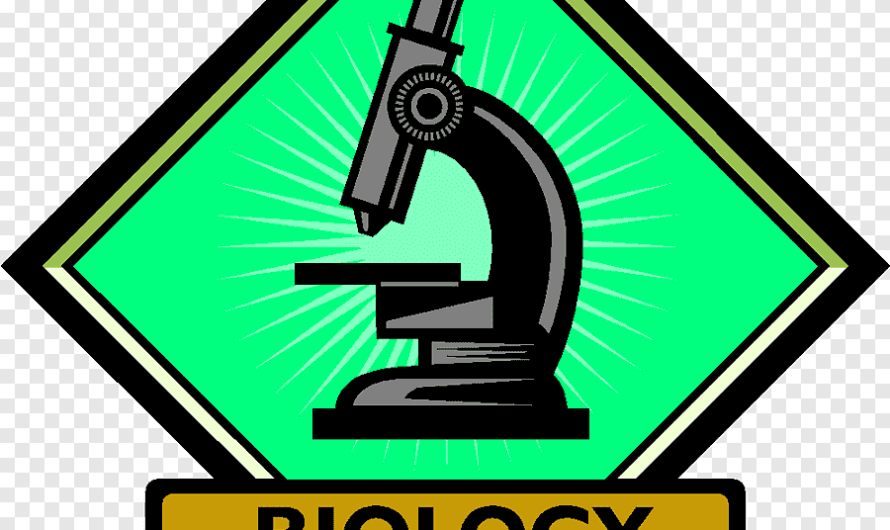 Biology Paper Pattern Class 9th 2024