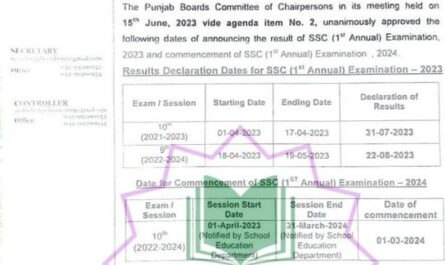 All Punjab Board 10th Class Result 2023